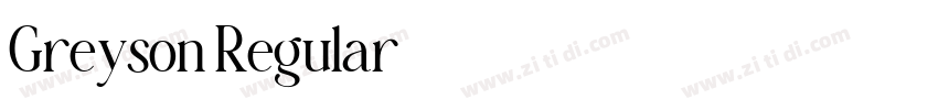 Greyson Regular字体转换 Greyson Regular字体转换